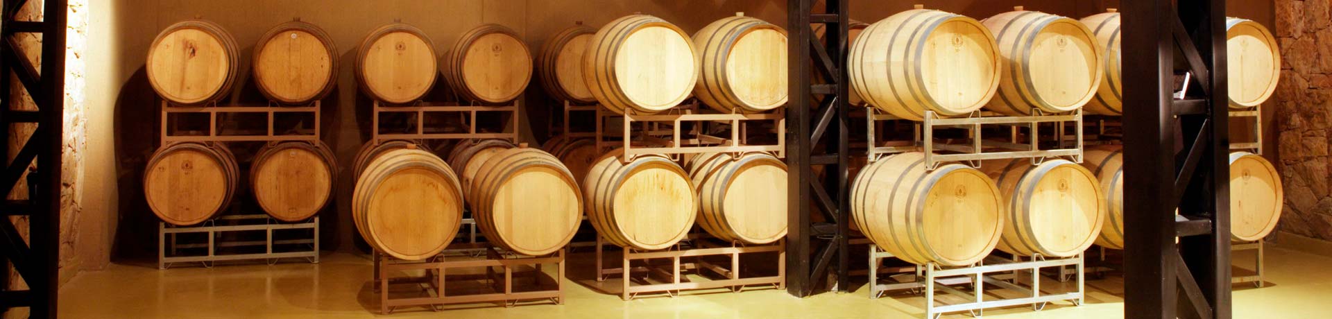 banner2-finca-bodega